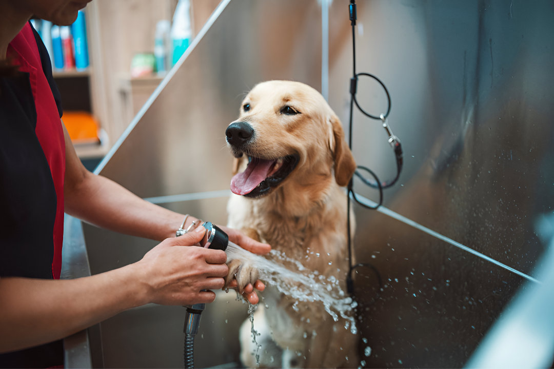 Bath Products for Clean and Happy Pets